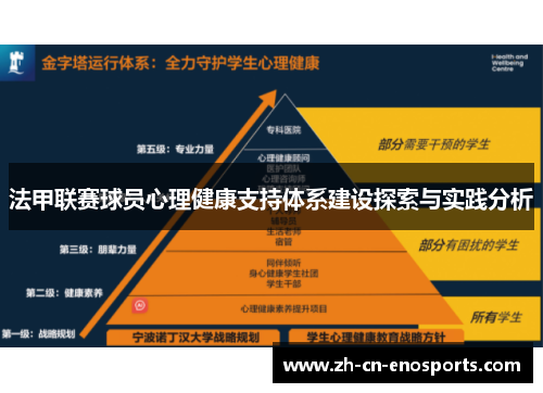 法甲联赛球员心理健康支持体系建设探索与实践分析