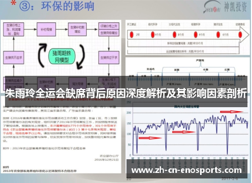 朱雨玲全运会缺席背后原因深度解析及其影响因素剖析