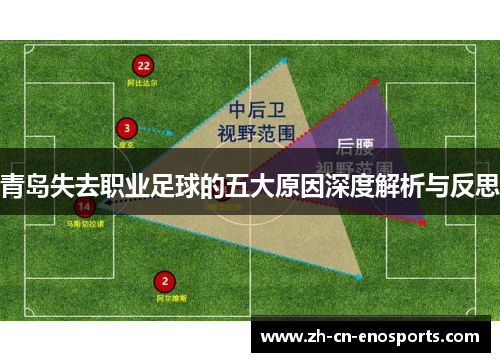 青岛失去职业足球的五大原因深度解析与反思