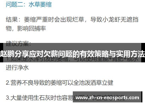 赵鹏分享应对欠薪问题的有效策略与实用方法 赵鹏分享应对欠薪问题的有效策略与实用方法